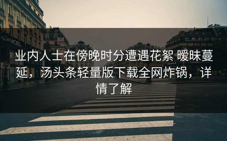 业内人士在傍晚时分遭遇花絮 暧昧蔓延，汤头条轻量版下载全网炸锅，详情了解