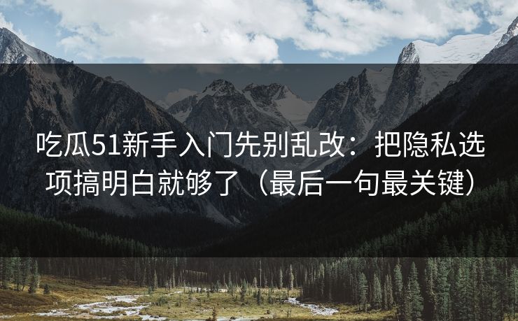 吃瓜51新手入门先别乱改：把隐私选项搞明白就够了（最后一句最关键）